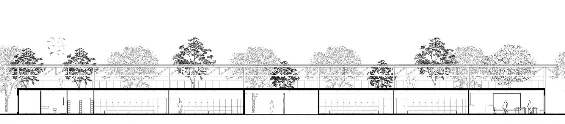 Coupe d'un projet de réhabilitation de stade à Dunkerque